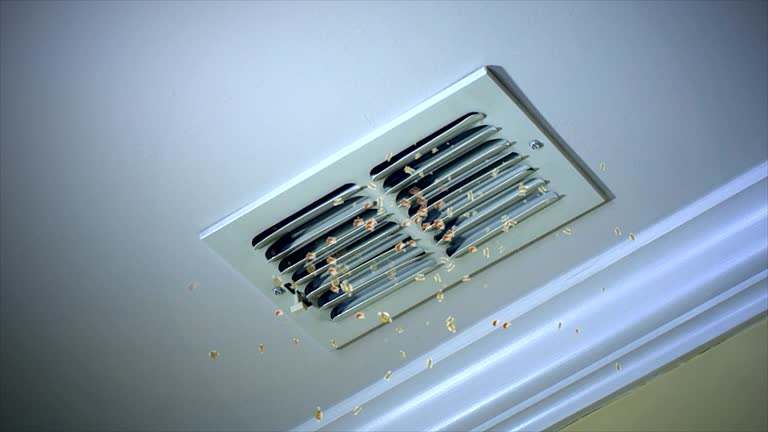 Best Air Vent Cleaning Services  in Cairo, NE