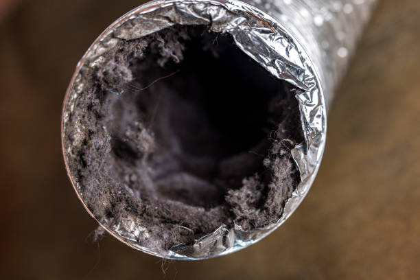 Best HVAC System Cleaning  in Cairo, NE